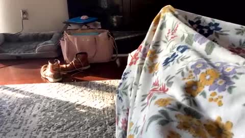 dannyboy621 online show from November 2, 1:44 pm