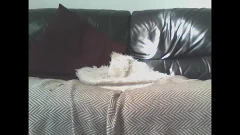 DaRealDonDaddy online show from March 9, 11:58 am