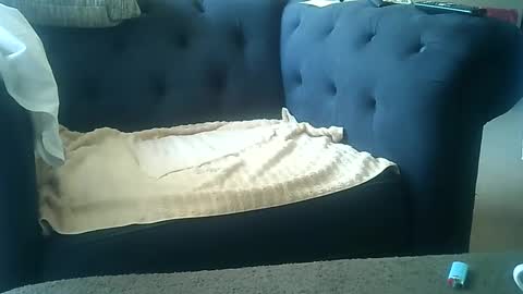 DarkAngel online show from January 8, 9:01 pm