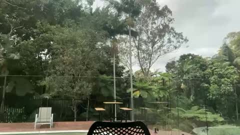 Snapshot of dartanian0001 chatting on October 1, 2:21 am dartanian0001 online show from October 1, 2:21 am