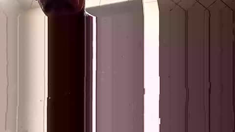 Snapshot of davedowning042075 chatting on February 5, 7:07 am davedowning042075 online show from February 5, 7:07 am