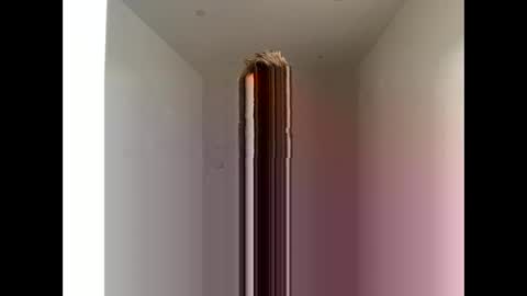 Snapshot of davepil29 chatting on October 21, 12:10 pm davepil29 online show from October 21, 12:10 pm