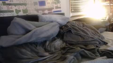 David online show from October 17, 6:39 am