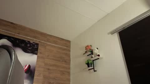 davoxer online show from January 6, 5:33 am