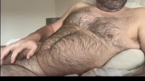 db197860693 online show from June 16, 8:51 am