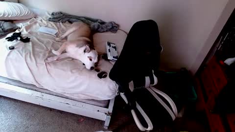 dbfroge online show from December 22, 10:05 pm