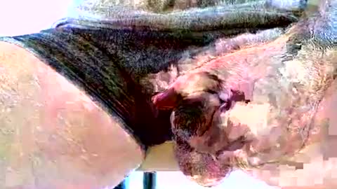 Dive Deep online show from December 4, 3:17 am