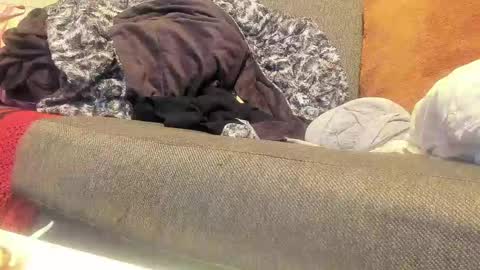 Deez Nutz online show from September 9, 1:38 am