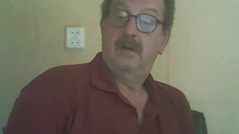 destelp online show from September 14, 12:06 pm