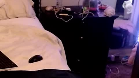 Sparkx online show from January 19, 6:01 am