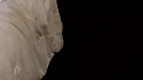 Sparkx online show from September 9, 1:05 am