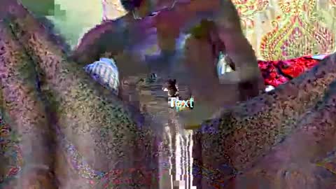 dickrater24 online show from February 1, 4:26 pm