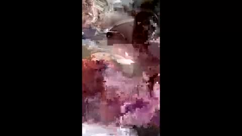 diego234827 online show from May 10, 5:52 pm