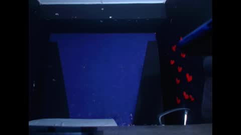 Snapshot of diego__cruz chatting on February 26, 11:32 am Diego online show from February 26, 11:32 am