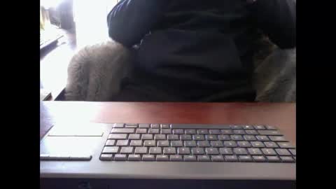 The Digital Pimp.... online show from November 18, 2:09 pm