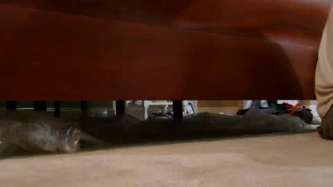 dildosnme22 online show from August 3, 7:21 am
