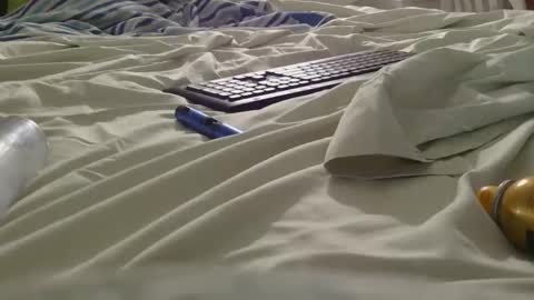 dildosnme22 online show from June 5, 9:15 am