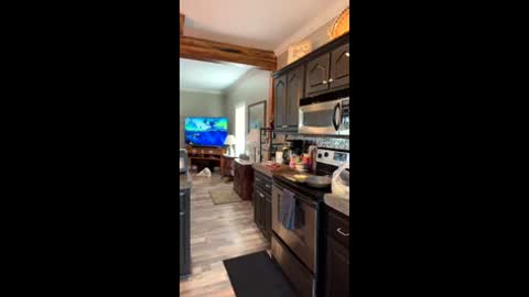 DILIS online show from June 8, 10:32 pm