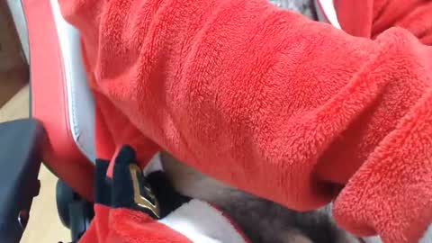 Z online show from December 5, 9:19 am