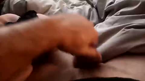 distruct6969 online show from October 28, 11:55 am