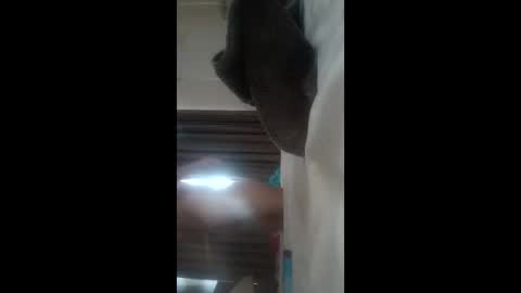 dogging4dollars online show from May 6, 10:05 pm
