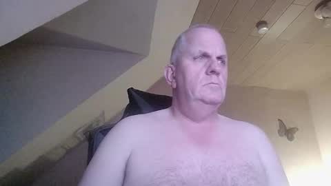 doggy2629 online show from November 23, 4:16 pm