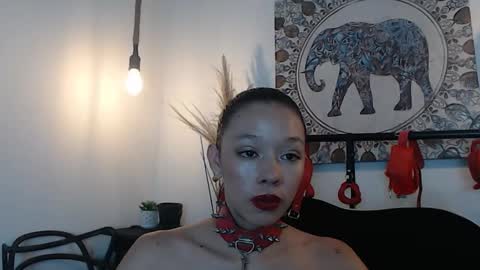 doll4anall online show from February 24, 7:06 pm