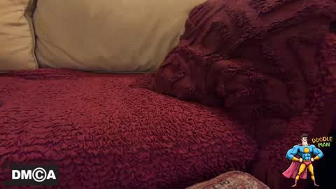 doodleman2077 online show from October 1, 9:41 am