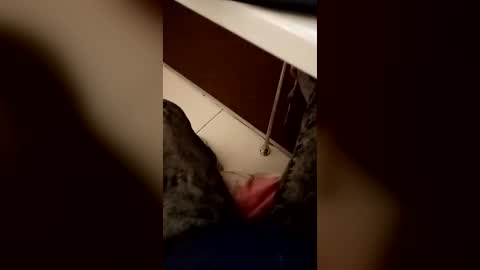 Mrdopedick online show from June 17, 12:26 am