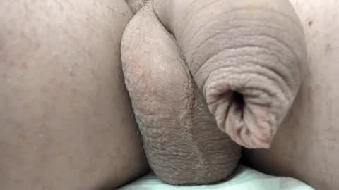 menu  below online show from February 11, 6:01 pm