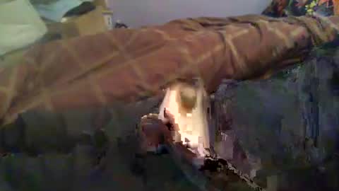 Hello  welcome to Slutsville  I am the Naked Chef  really  but you may call me Peter online show from April 14, 8:28 am