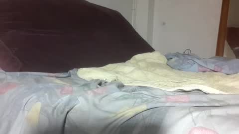 Snapshot of dragonred221 chatting on October 8, 1:57 am dragonred221 online show from October 8, 1:57 am