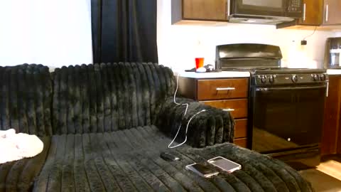 Draya Nicole online show from February 1, 11:18 am