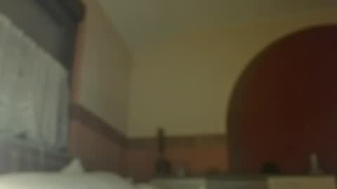 Dreambob online show from November 5, 2:02 am