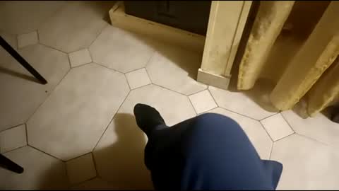 dthedog12 online show from March 3, 8:43 pm