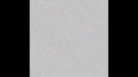  ALICE  online show from October 21, 2:49 am