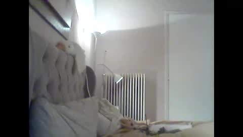 Duma online show from December 17, 3:06 pm