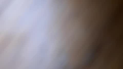 dVe1oPe online show from February 3, 10:08 am