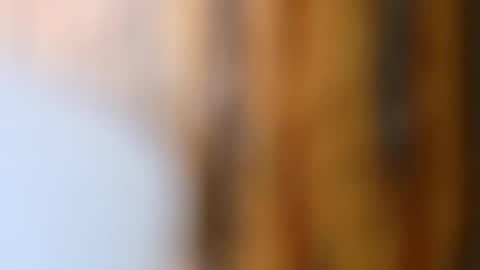 dVe1oPe online show from October 14, 9:12 am