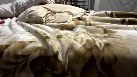 dyno1335 online show from September 29, 8:13 am