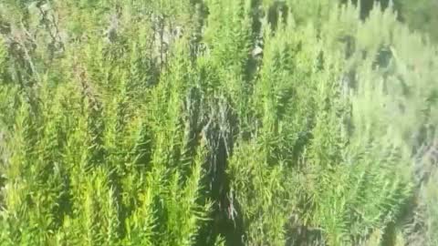 ebnk15 online show from October 21, 1:16 pm