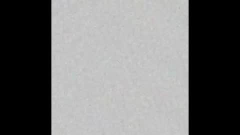 judy online show from January 12, 3:24 am