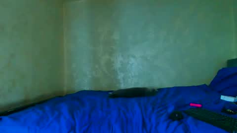 Nomyx  OF check online show from December 20, 6:26 pm