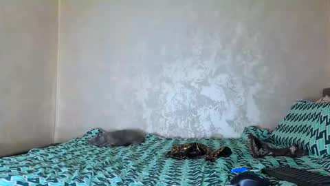 Nomyx  OF check online show from October 7, 6:48 pm