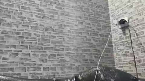 edithmanning online show from February 27, 2:10 pm