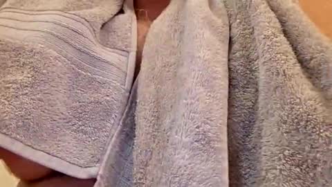 Eddya online show from September 26, 11:51 am