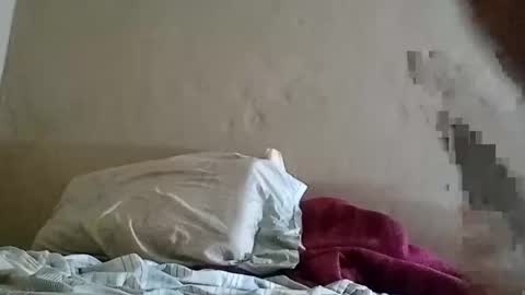 Sebastin online show from February 8, 3:41 am