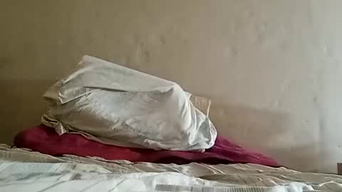 Sebastin online show from February 2, 7:09 am