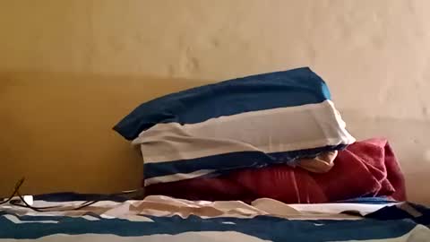 Sebastin online show from March 11, 7:35 am