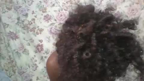 elalia1234 online show from November 13, 5:43 am